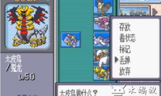 口袋妖怪绿宝石386攻略