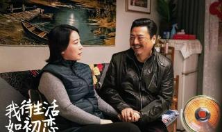 闫妮张嘉译主演的新剧