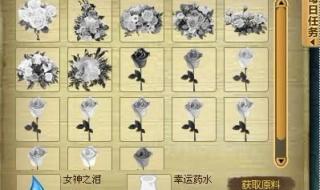 玫瑰小镇魔法花园攻略