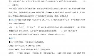 全国乙卷理综最高分