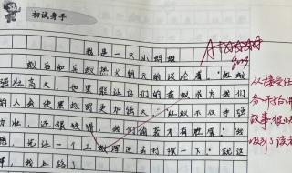 我是一只蚂蚁变形记作文