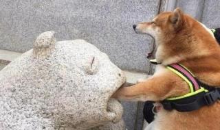 分手的时候不要说抱歉