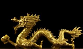 我爹是五爪金龙我是青龙