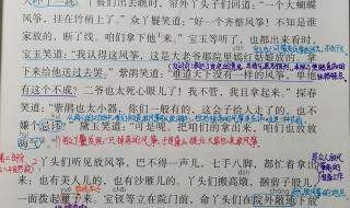 红楼春趣的笔记课堂笔记