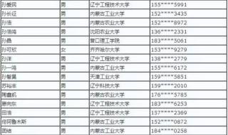 内蒙古东部电力有限公司