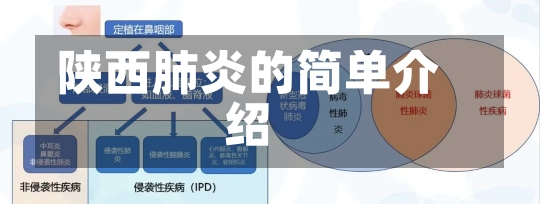 陕西肺炎的简单介绍