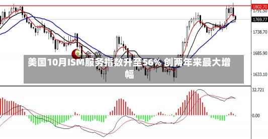 美国10月ISM服务指数升至56% 创两年来最大增幅