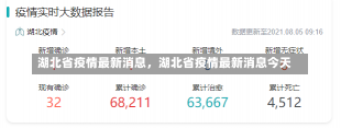 湖北省疫情最新消息，湖北省疫情最新消息今天