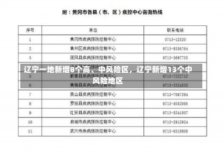 辽宁一地新增8个高、中风险区，辽宁新增13个中风险地区