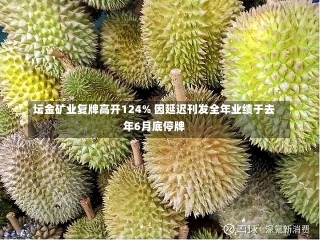 坛金矿业复牌高开124% 因延迟刊发全年业绩于去年6月底停牌