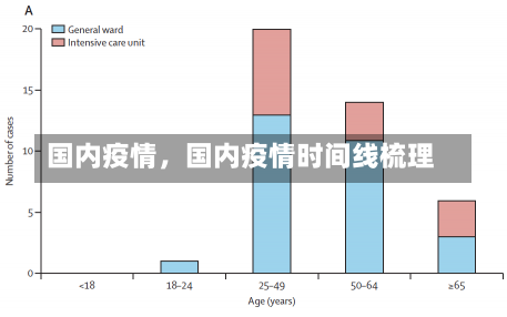 国内疫情，国内疫情时间线梳理