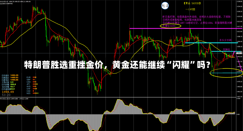 特朗普胜选重挫金价，黄金还能继续“闪耀”吗？