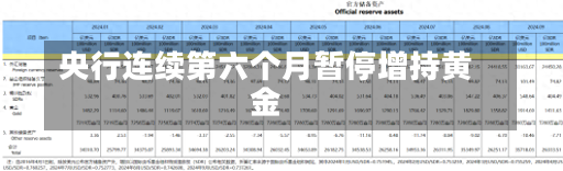 央行连续第六个月暂停增持黄金