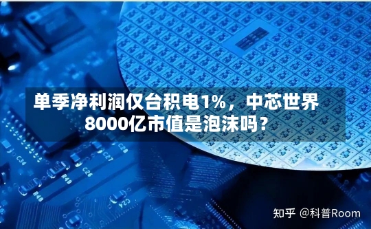 单季净利润仅台积电1%，中芯世界
8000亿市值是泡沫吗？