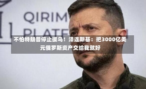 不怕特朗普停止援乌！泽连斯基：把3000亿美元俄罗斯资产交给我就好