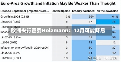 欧洲央行管委Holzmann：12月可能降息