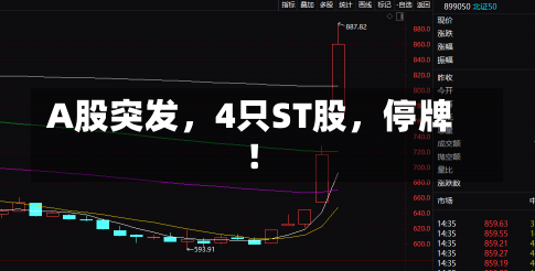 A股突发，4只ST股，停牌！