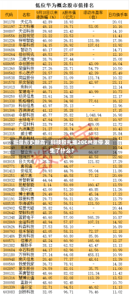 批量历史新高，科技股扎堆20CM涨停 发生了什么？