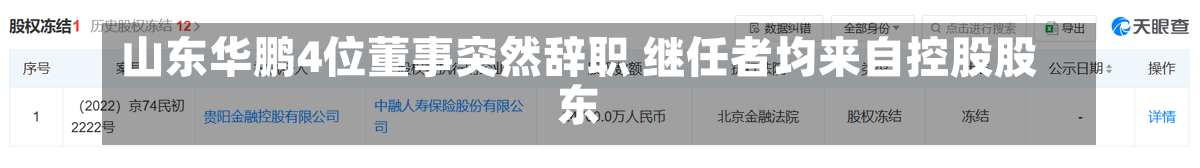 山东华鹏4位董事突然辞职 继任者均来自控股股东