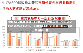 中证A500ETF摩根（560530）大幅放量，今日成交额达到25.04亿元，位居同类10只产品第二名，位居上交所第一名