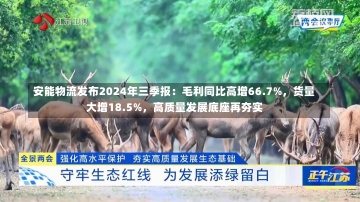 安能物流发布2024年三季报：毛利同比高增66.7%，货量大增18.5%，高质量发展底座再夯实