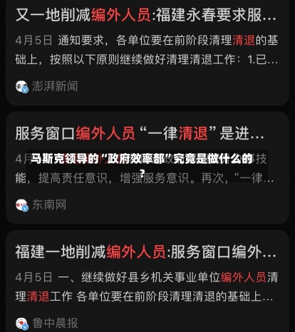 马斯克领导的“政府效率部”究竟是做什么的？