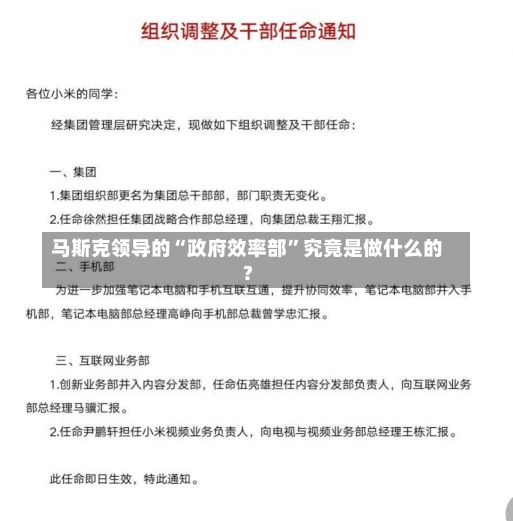 马斯克领导的“政府效率部”究竟是做什么的？