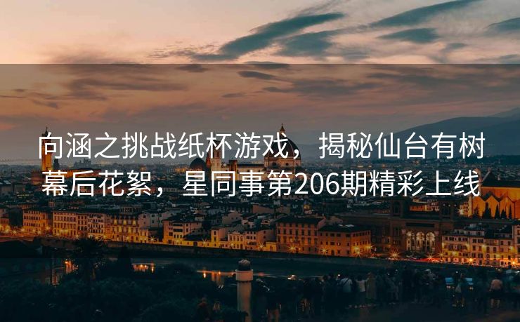 向涵之挑战纸杯游戏，揭秘仙台有树幕后花絮，星同事第206期精彩上线