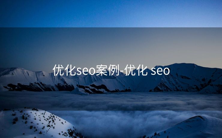 优化seo案例-优化 seo