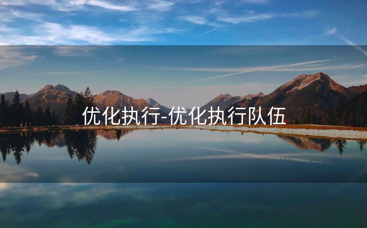 优化执行-优化执行队伍
