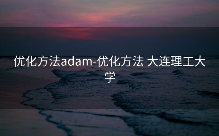 优化方法adam-优化方法 大连理工大学 优化方法adam-优化方法 大连理工大学