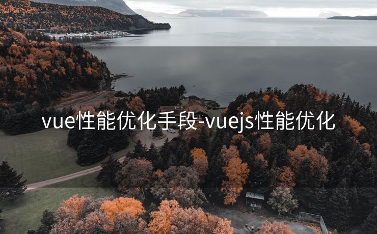 vue性能优化手段-vuejs性能优化 vue性能优化手段-vuejs性能优化