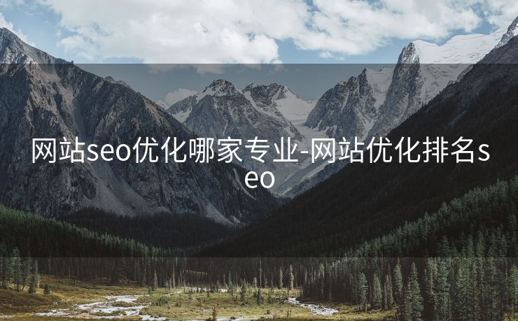 网站seo优化哪家专业-网站优化排名seo 网站seo优化哪家专业-网站优化排名seo