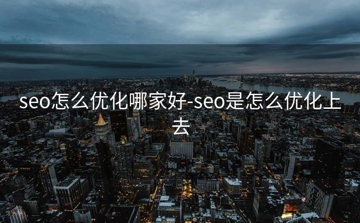 seo怎么优化哪家好-seo是怎么优化上去 seo怎么优化哪家好-seo是怎么优化上去