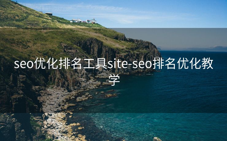 seo优化排名工具site-seo排名优化教学