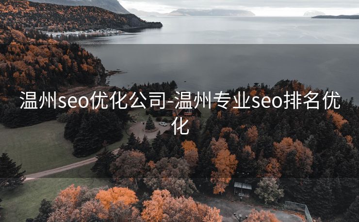 温州seo优化公司-温州专业seo排名优化 温州seo优化公司-温州专业seo排名优化
