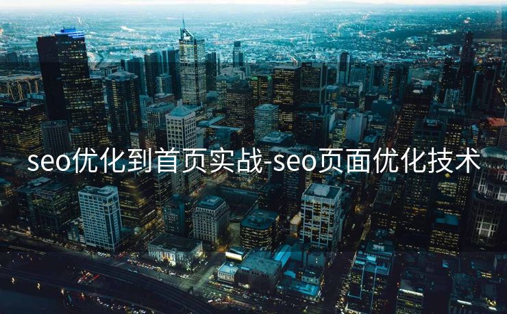 seo优化到首页实战-seo页面优化技术