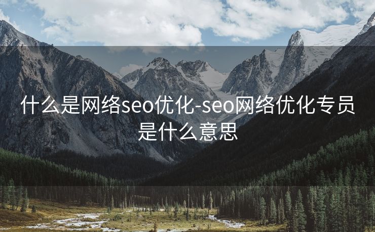 什么是网络seo优化-seo网络优化专员是什么意思