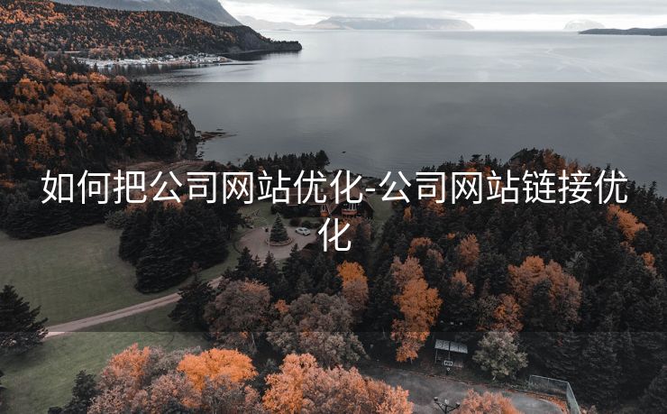如何把公司网站优化-公司网站链接优化 如何把公司网站优化-公司网站链接优化