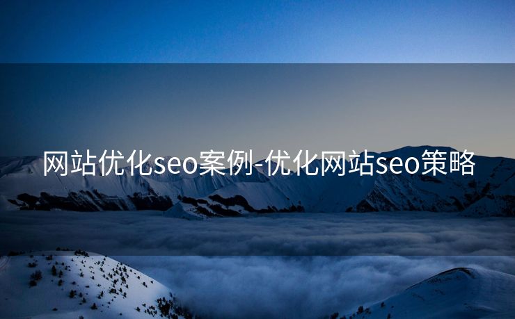 网站优化seo案例-优化网站seo策略 网站优化seo案例-优化网站seo策略