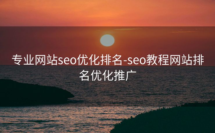 专业网站seo优化排名-seo教程网站排名优化推广 专业网站seo优化排名-seo教程网站排名优化推广